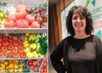 Georgia Lambertin réélue présidente de la Chambre d’agriculture de Vaucluse