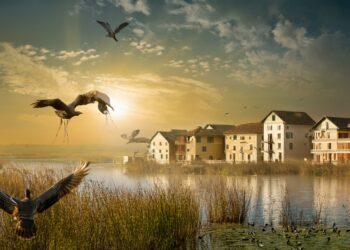 Quand le logement social l’emporte sur les espèces protégées