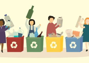 Tri des emballages par Citéo : 6 collectivités vauclusiennes retenues dans l’appel à projet national