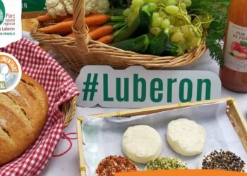 (Vidéo) Apt, Agriculture et alimentation, pourquoi manger des produits locaux ?