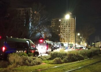 (Vidéo) Trafic de stupéfiants à Avignon : Fusillades à La Barbière et Saint-Chamand