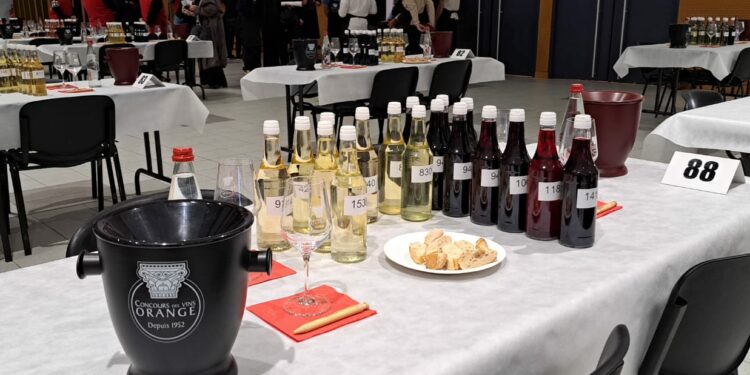 Une pluie de médailles lors du 73e Concours des Vins d’Orange