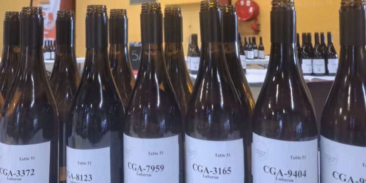 Vers la finale du Concours Général de Paris : les vins de Vaucluse sélectionnés pour une visibilité internationale