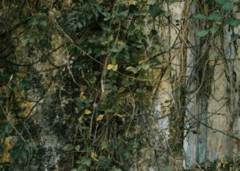 Sortie de résidence au Théâtre de l’Oulle