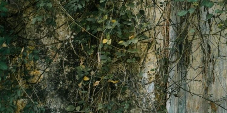 Sortie de résidence au Théâtre de l’Oulle