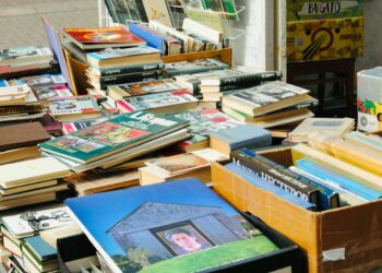 Sorgues : vente-braderie de livres CD et DVD