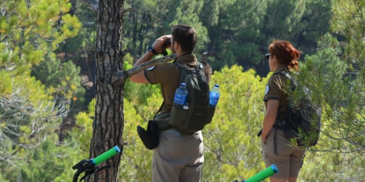 La Région Sud recherche 250 jeunes pour sa Garde Régionale Forestière