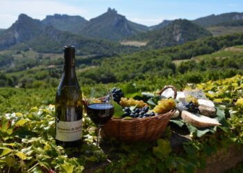 Centenaire des appellations Beaumes-de-Venise : 20 ans pour les rouges AOC et 80 ans pour les muscats