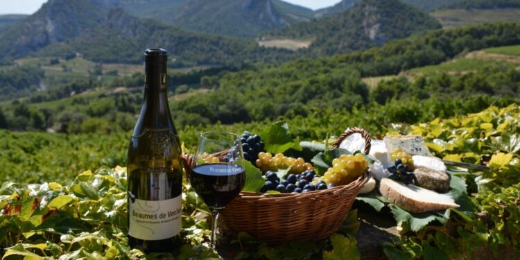 Centenaire des appellations Beaumes-de-Venise : 20 ans pour les rouges AOC et 80 ans pour les muscats