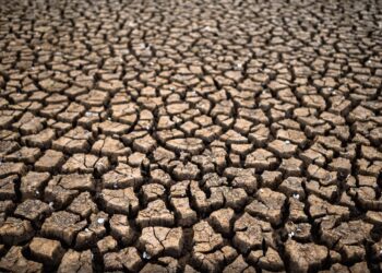 Sécheresse : 8 communes vauclusiennes reconnues comme étant en état de catastrophe naturelle