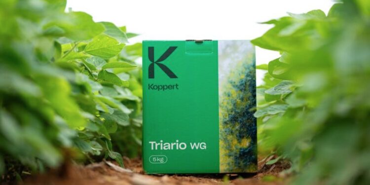 Cavaillon : Koppert lance deux nouveaux produits pour stimuler et développer les plantes