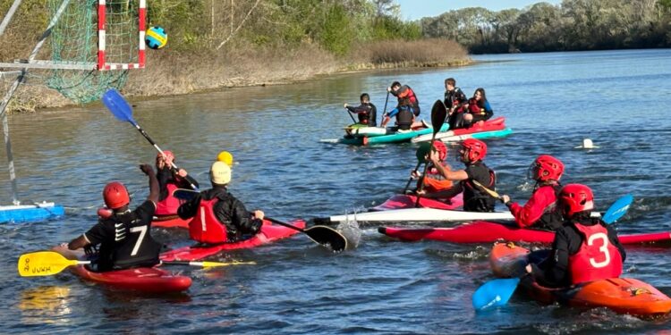 Découvrez le kayak polo au Stade nautique d’Avignon