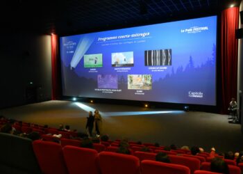 Le ‘Petit festival’ : une journée cinématographique pleine d’émotions