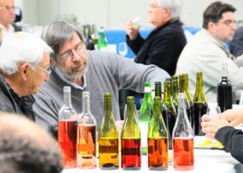 Les 40 ans du concours des vins d’Avignon célébrés en deux temps cette année
