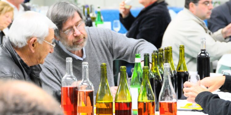 Les 40 ans du concours des vins d’Avignon célébrés en deux temps cette année