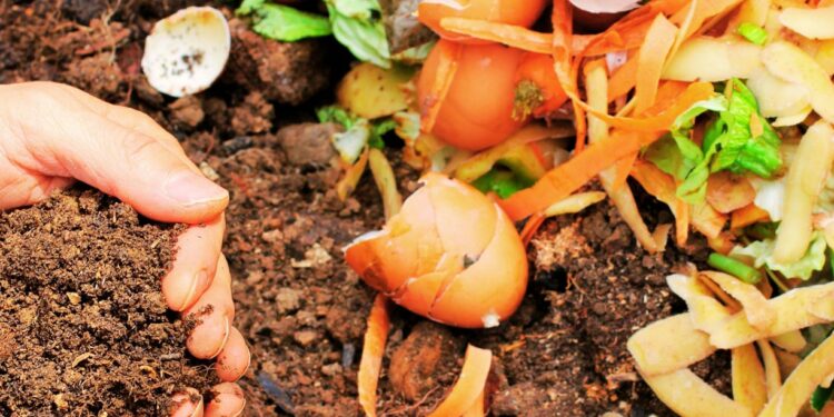 Distribution gratuite de compost à Vaison-la-Romaine