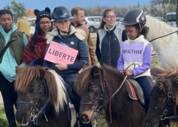 (Vidéo) Cité scolaire Jean-Henri Fabre à Carpentras & Isofaculté : Journée du bien-être à l’école