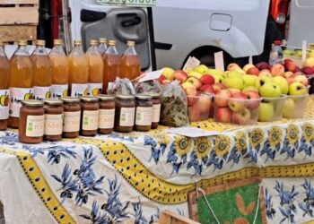 Petit-Palais mais grand marché tous les samedis dans ce hameau de L’Isle-sur-la-Sorgue 
