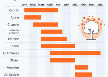 Le calendrier des allergies aux pollens en France