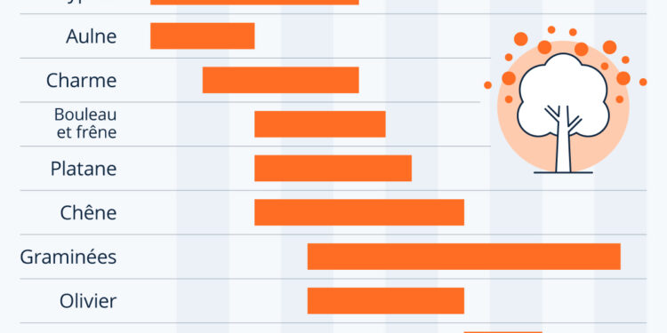 Le calendrier des allergies aux pollens en France