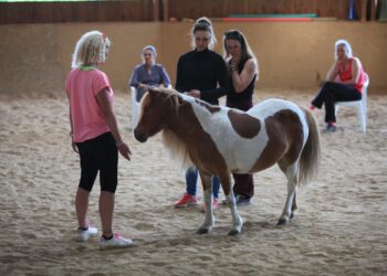 La médiation animale : une pratique thérapeutique qui se développe aussi en Provence