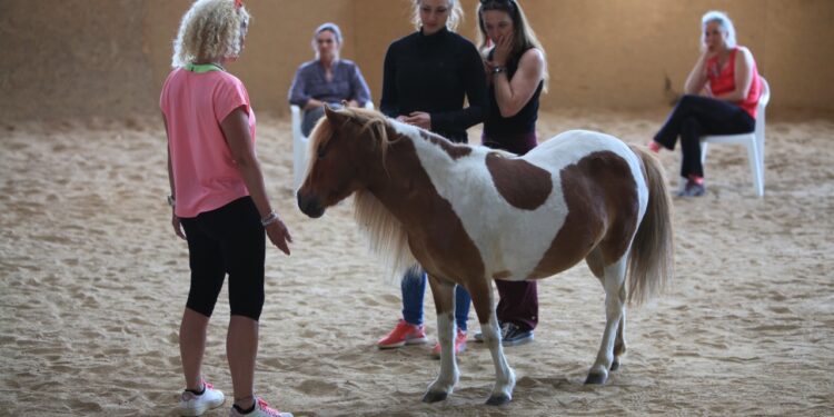 La médiation animale : une pratique thérapeutique qui se développe aussi en Provence
