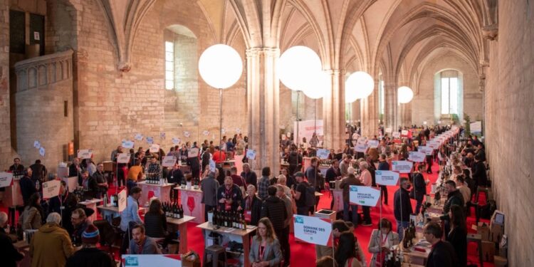 Découvertes en Vallée du Rhône : l’avenir de la filière entre les mains de Trump ?