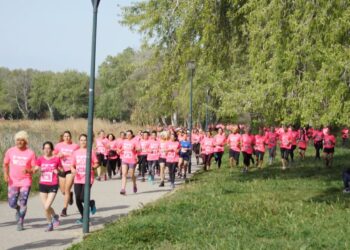 13e édition de L’Avignonnaise : courir pour lutter contre le cancer