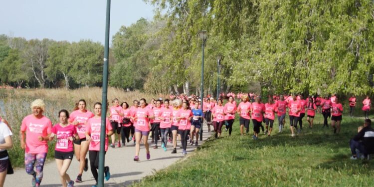 13e édition de L’Avignonnaise : courir pour lutter contre le cancer