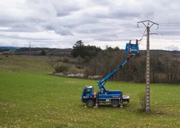 Sault : la LPO Paca et Enedis au secours des oiseaux