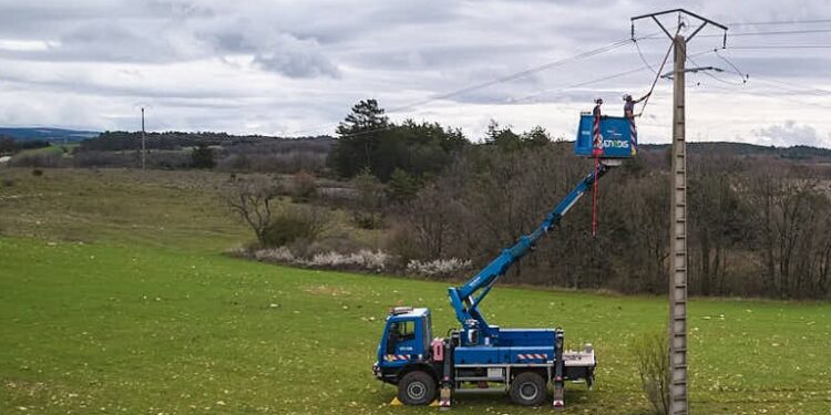 Sault : la LPO Paca et Enedis au secours des oiseaux
