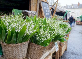 1er mai : l’entreprise vauclusienne Florajet défend le travail des fleuristes
