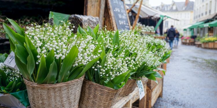 1er mai : l’entreprise vauclusienne Florajet défend le travail des fleuristes