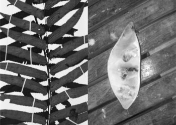 Deux rendez-vous prochainement à la Collection Lambert d’Avignon