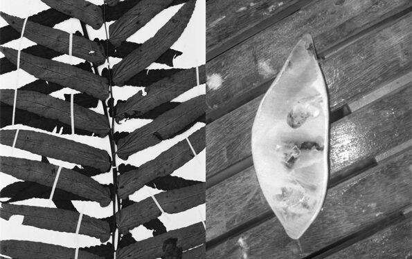 Deux rendez-vous prochainement à la Collection Lambert d’Avignon