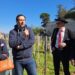 Elle est taillée la Vigne du Clos des Papes, porte-drapeau d’Avignon, capitale des Côtes du Rhône