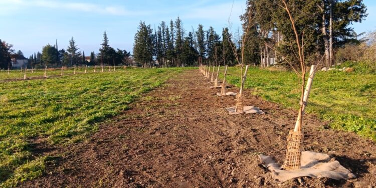 Environnement : le Département de Vaucluse crée une pépinière sur un délaissé routier