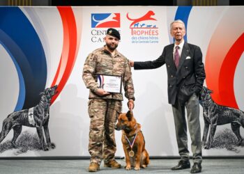 Peyo, un « chien d’exception » parmi le Commando de Parachutiste de l’Air n°20 à Orange