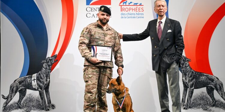 Peyo, un « chien d’exception » parmi le Commando de Parachutiste de l’Air n°20 à Orange