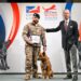 Peyo, un « chien d’exception » parmi le Commando de Parachutiste de l’Air n°20 à Orange