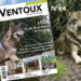 Le loup est à l’affiche du nouveau Ventoux Magazine