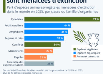 Biodiversité : plus d’un quart des espèces sont menacées d’extinction