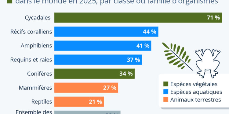 Biodiversité : plus d’un quart des espèces sont menacées d’extinction