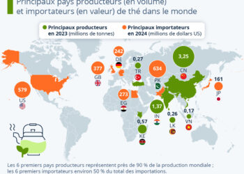 Les principaux pays producteurs et importateurs de thé