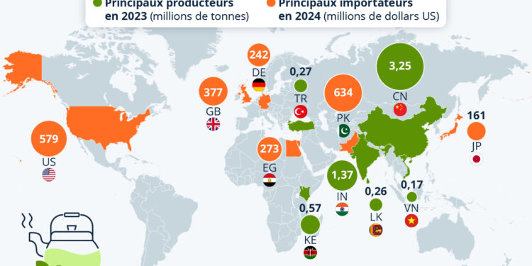 Les principaux pays producteurs et importateurs de thé