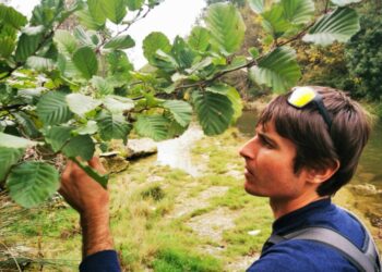 Loriol-du-Comtat : un succès après le rachat de Cérès Flore par ses salariés