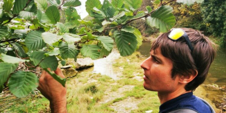 Loriol-du-Comtat : un succès après le rachat de Cérès Flore par ses salariés