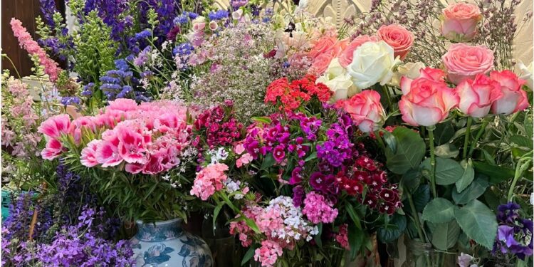 Vous rappelez-vous de Lara Hollebecq ?