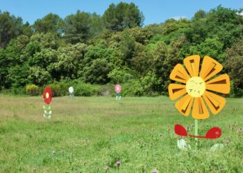 Les fleurs et les papillons de Georges Speicher colonisent le Sud Luberon 