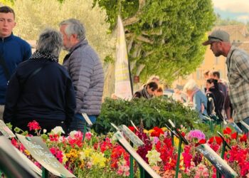 Les fleuralies soufflent un air de printemps sur Vaison-la-Romaine ce jeudi 8 mai